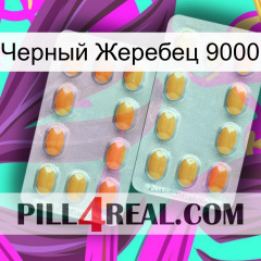 Черный Жеребец 9000 cialis4